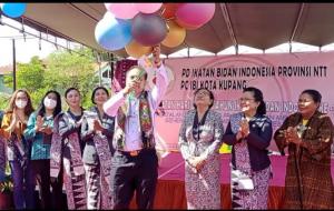 Staf Khusus bidang Kesehatan Provinsi NTT, Stef Bria Seran melepas balon saat peringatan HUT IBI