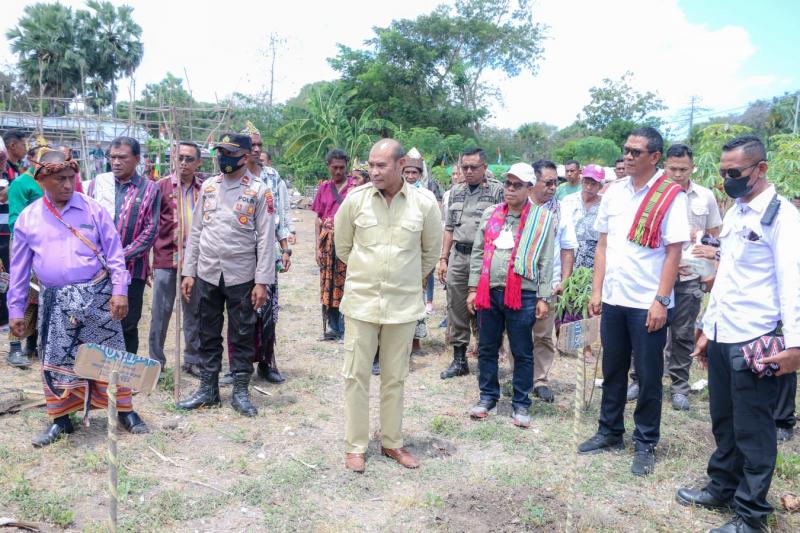 Gubernur NTT Viktor Bungtilu Laiskodat penanaman Anakan Kelor di Desa Kiubaat Kecamatan Amanuban Selatan Kabupaten Timor Tengah Selatan, kamis (29/9/2022).  
