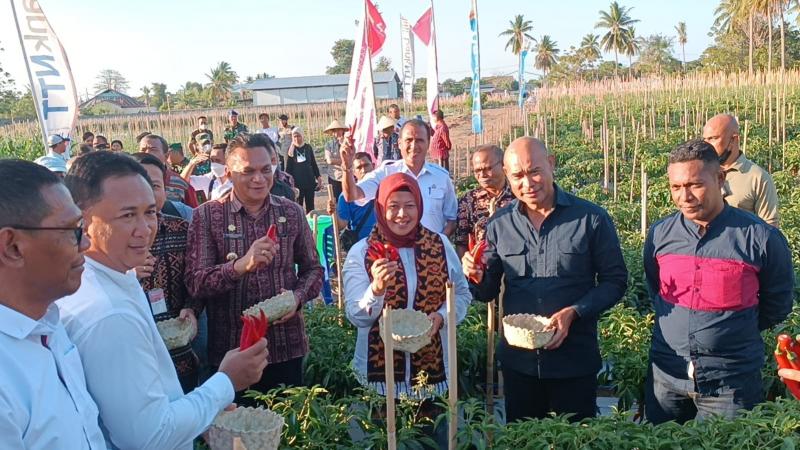 Aplikasi B Pung Petani Karya Bank NTT-Pemprov NTT, Solusi Ampuh Cegah ...