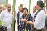 Promosi Bambu sebagai Tanaman Agroforestry, Gubernur NTT Klaim sudah Tanam 1.300 Hektare