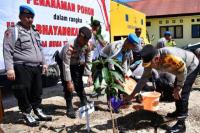 Kapolda NTT dan Jajaran Tanam Ratusan Pohon di Pulau Semau