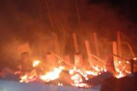 Rumah Terbakar, Dua Siswi SD di Wanokaka-Sumba Barat Tewas Terpanggang