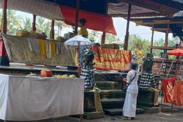 Perempuan Hindu membawa sesajen di Pura Gaduh, Taman Lingsar, Sabtu, 16 November 2024.