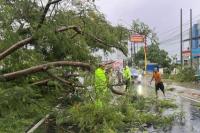 Kasat Lantas Polresta Kupang Kota, Kompol Sudirman melakukan pembersihan dengan cara menebang sebuah pohon besar yang tumbang dan menutupi badan Jalan Piet A. Tallo tepatnya di ruas jalan setelah jembatan kembar Liliba arah Penfui, di Kelurahan Liliba, Kecamatan Oebobo, Kota Kupang, Rabu (15/1/2025).